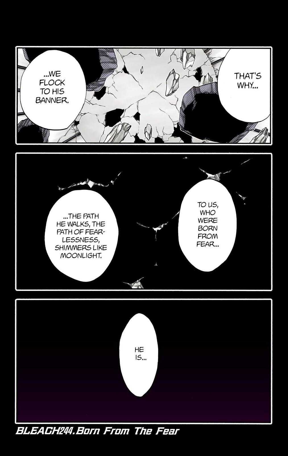 Bleach (Color) Chapter 244 - Page 6