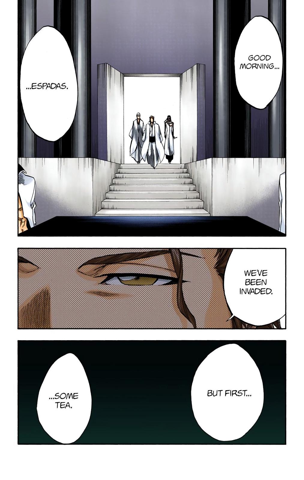 Bleach (Color) Chapter 244 - Page 17