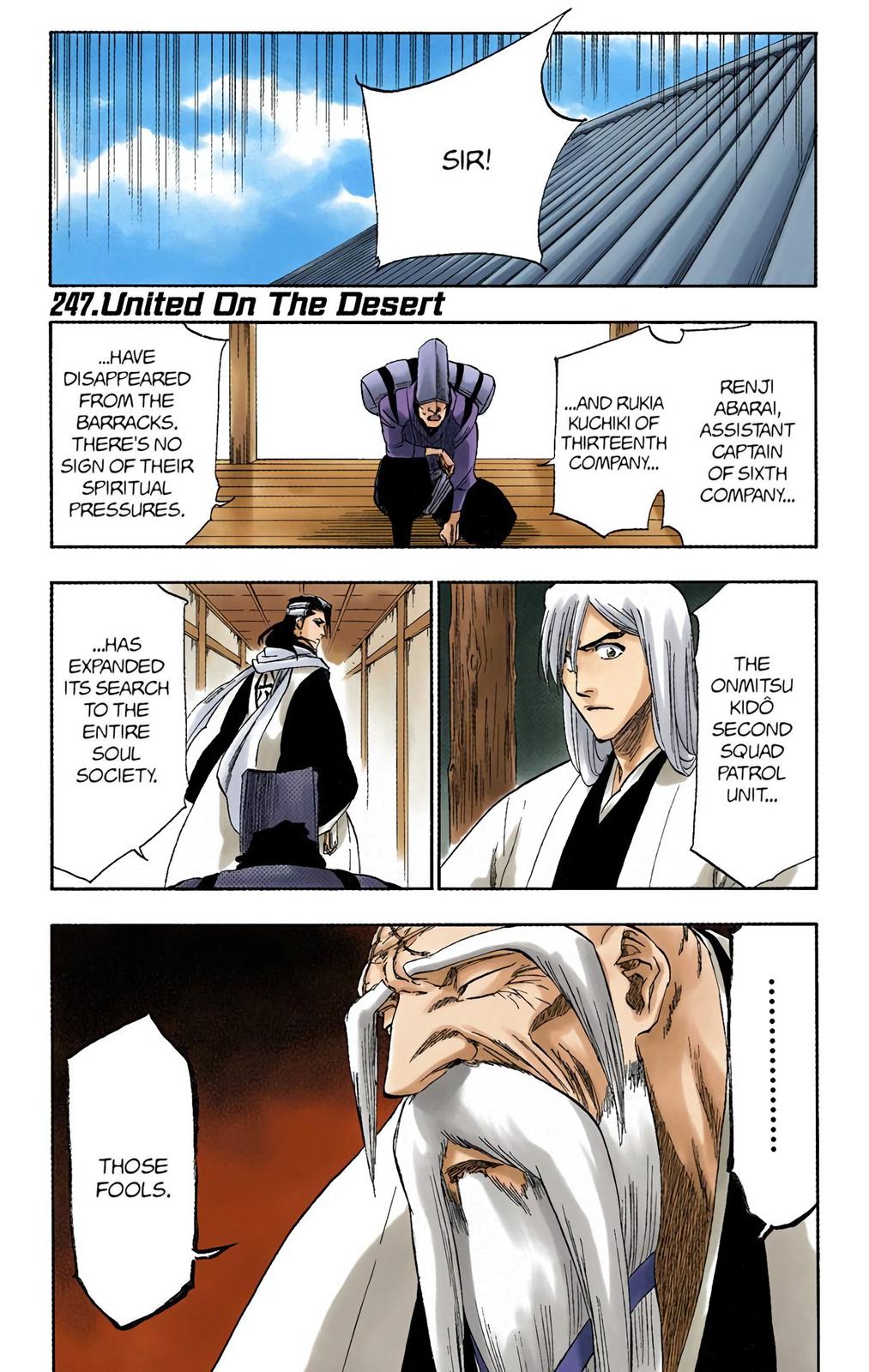 Bleach (Color) Chapter 246 - Page 21