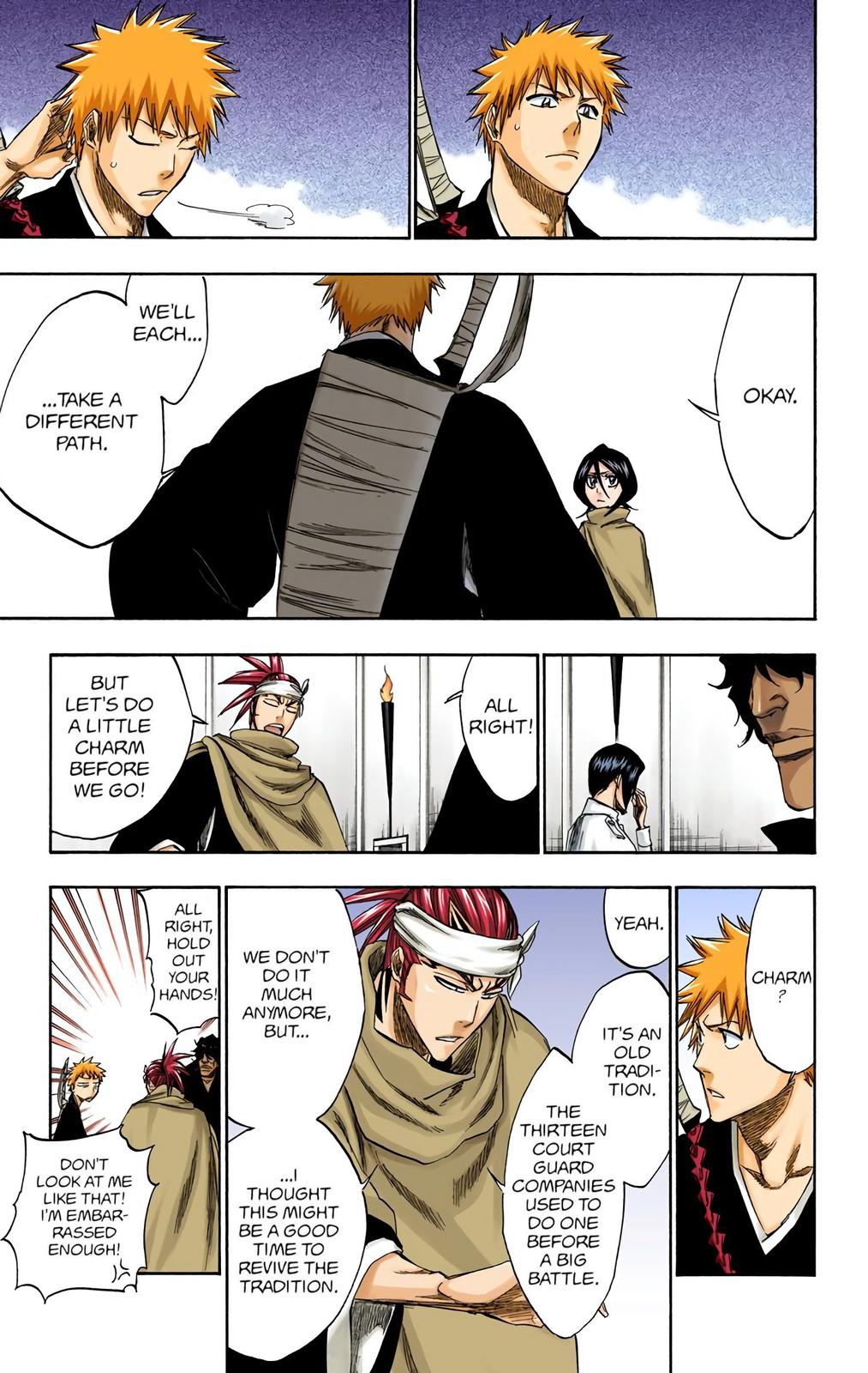 Bleach (Color) Chapter 248 - Page 14