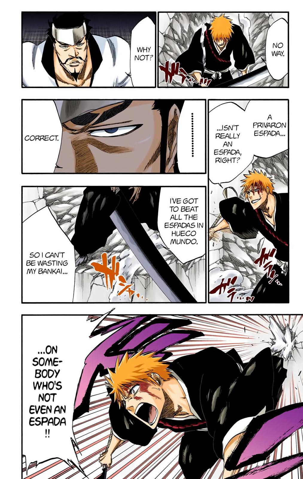 Bleach (Color) Chapter 251 - Page 10
