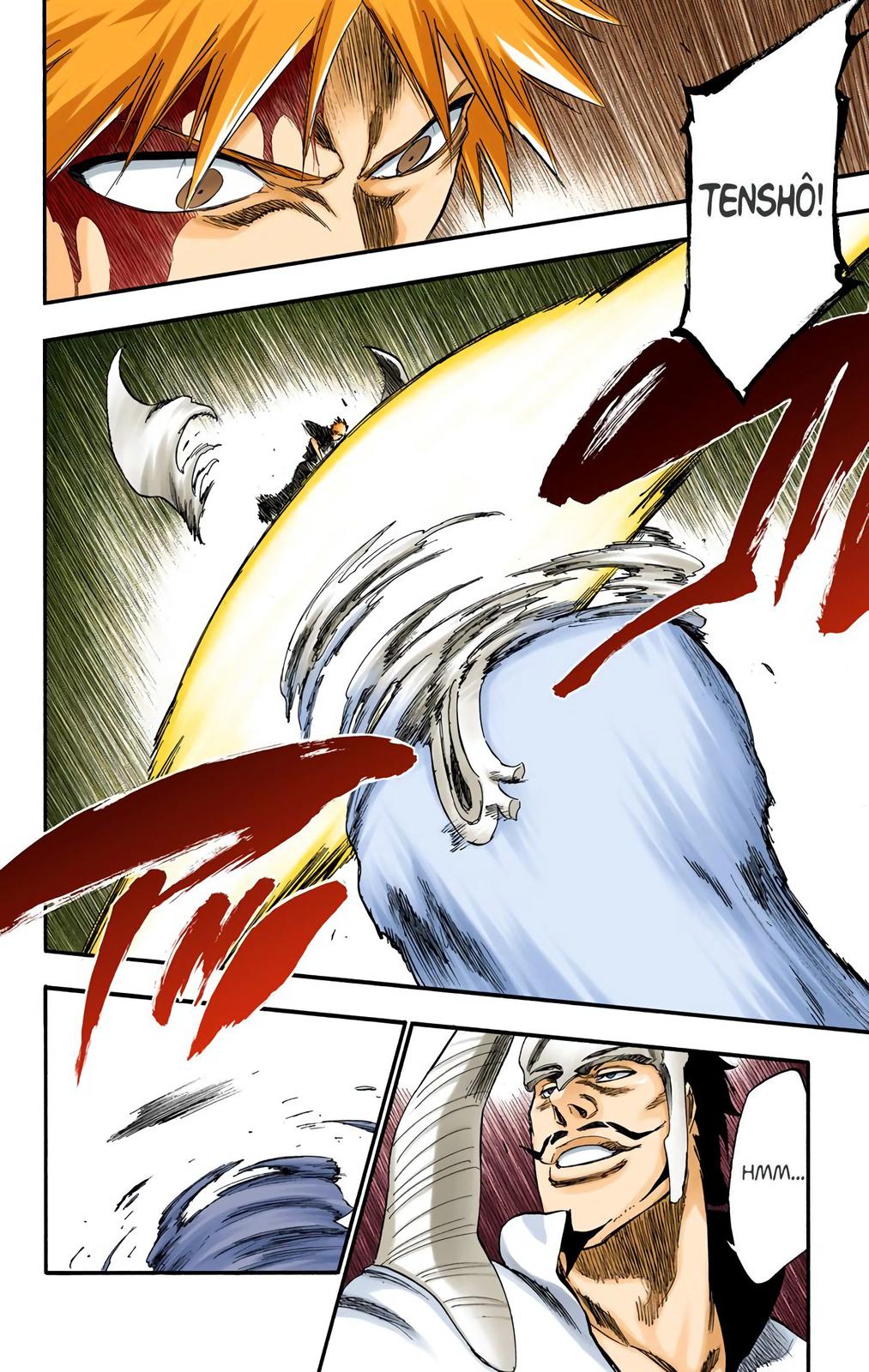 Bleach (Color) Chapter 252 - Page 19