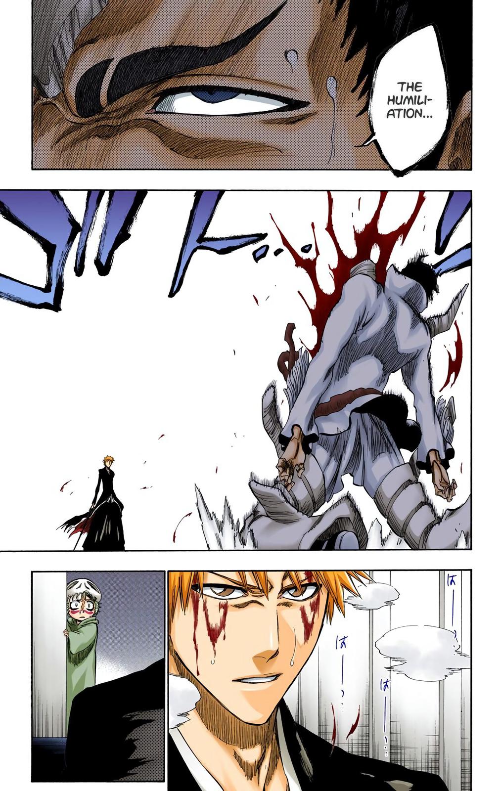 Bleach (Color) Chapter 253 - Page 19