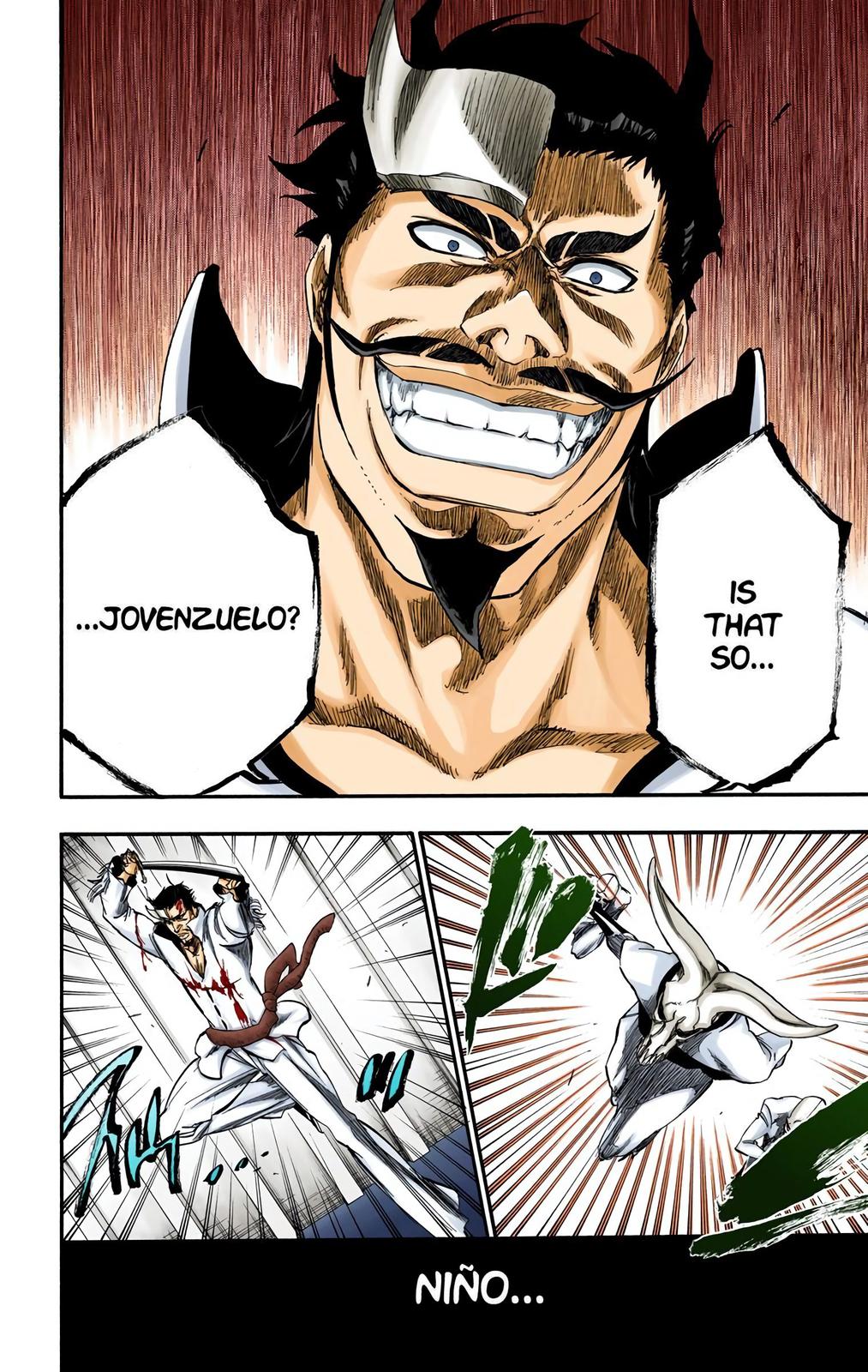 Bleach (Color) Chapter 254 - Page 14