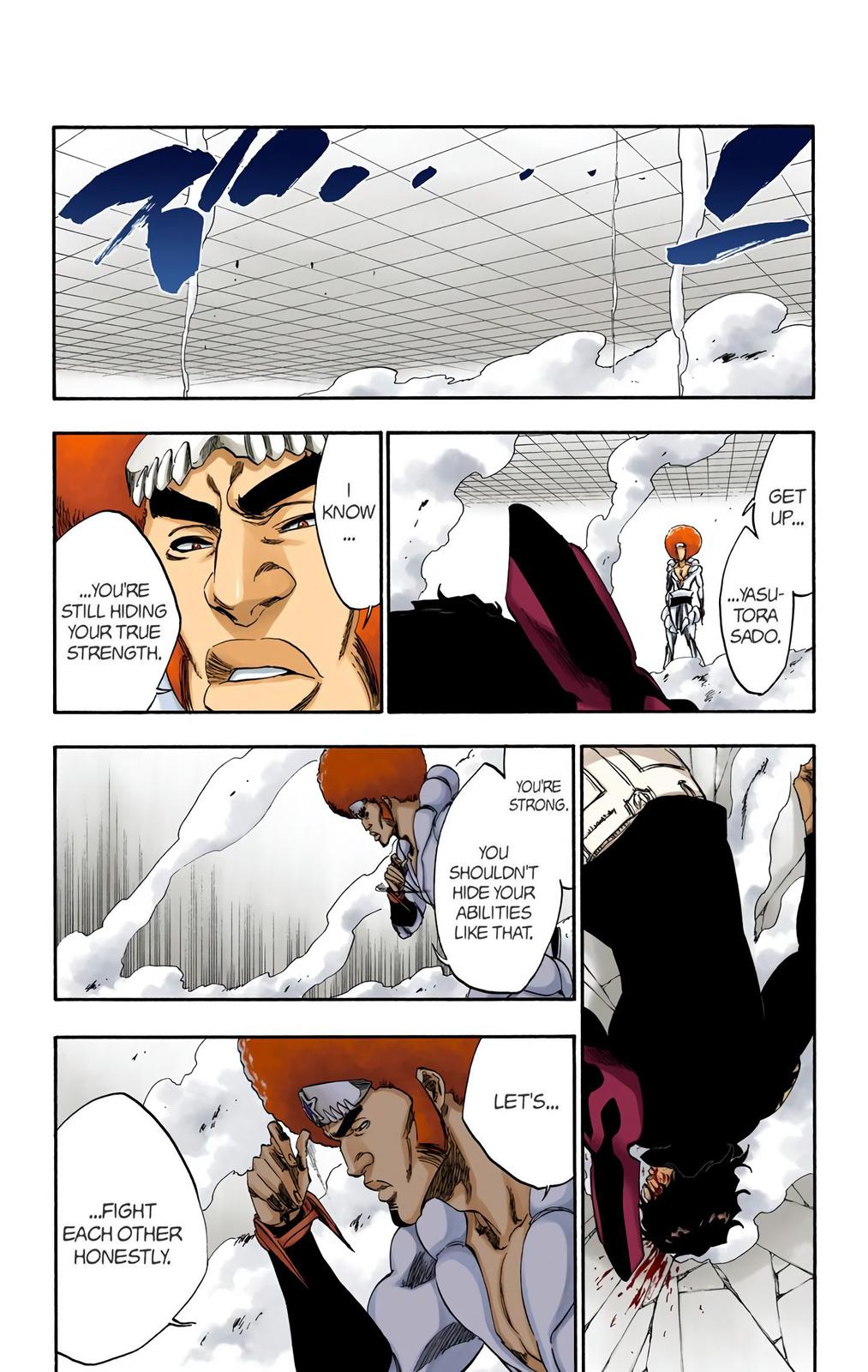Bleach (Color) Chapter 259 - Page 16