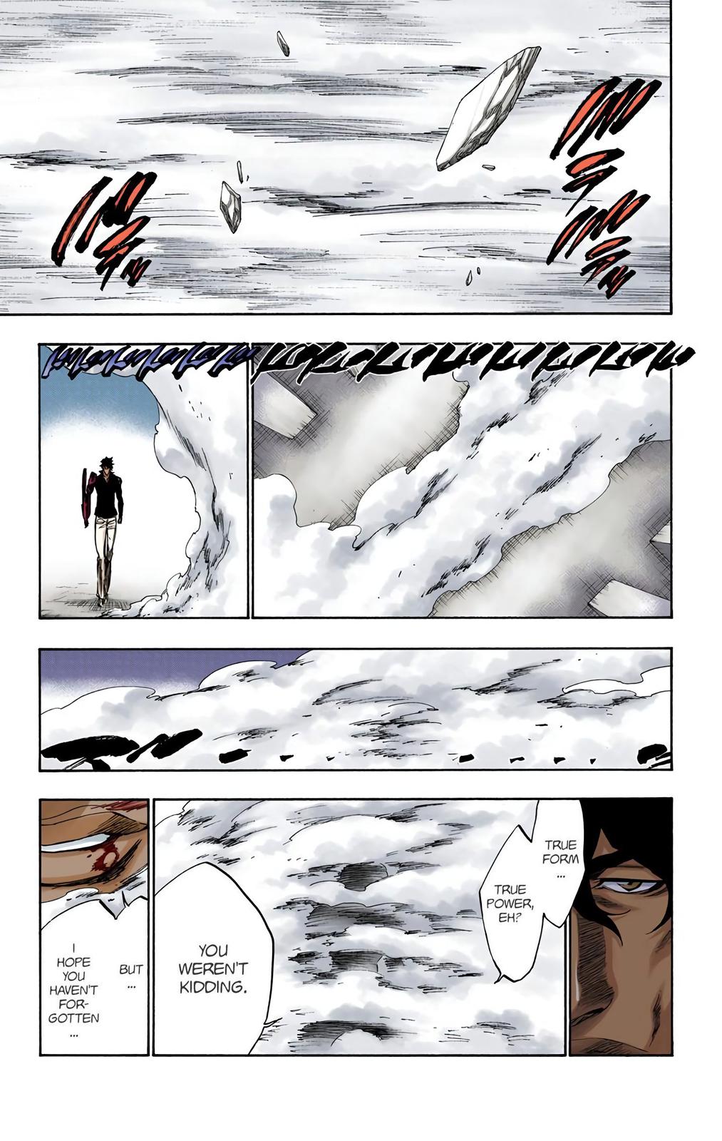 Bleach (Color) Chapter 260 - Page 11