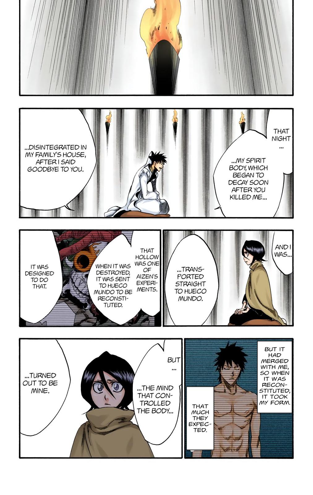 Bleach (Color) Chapter 263 - Page 15