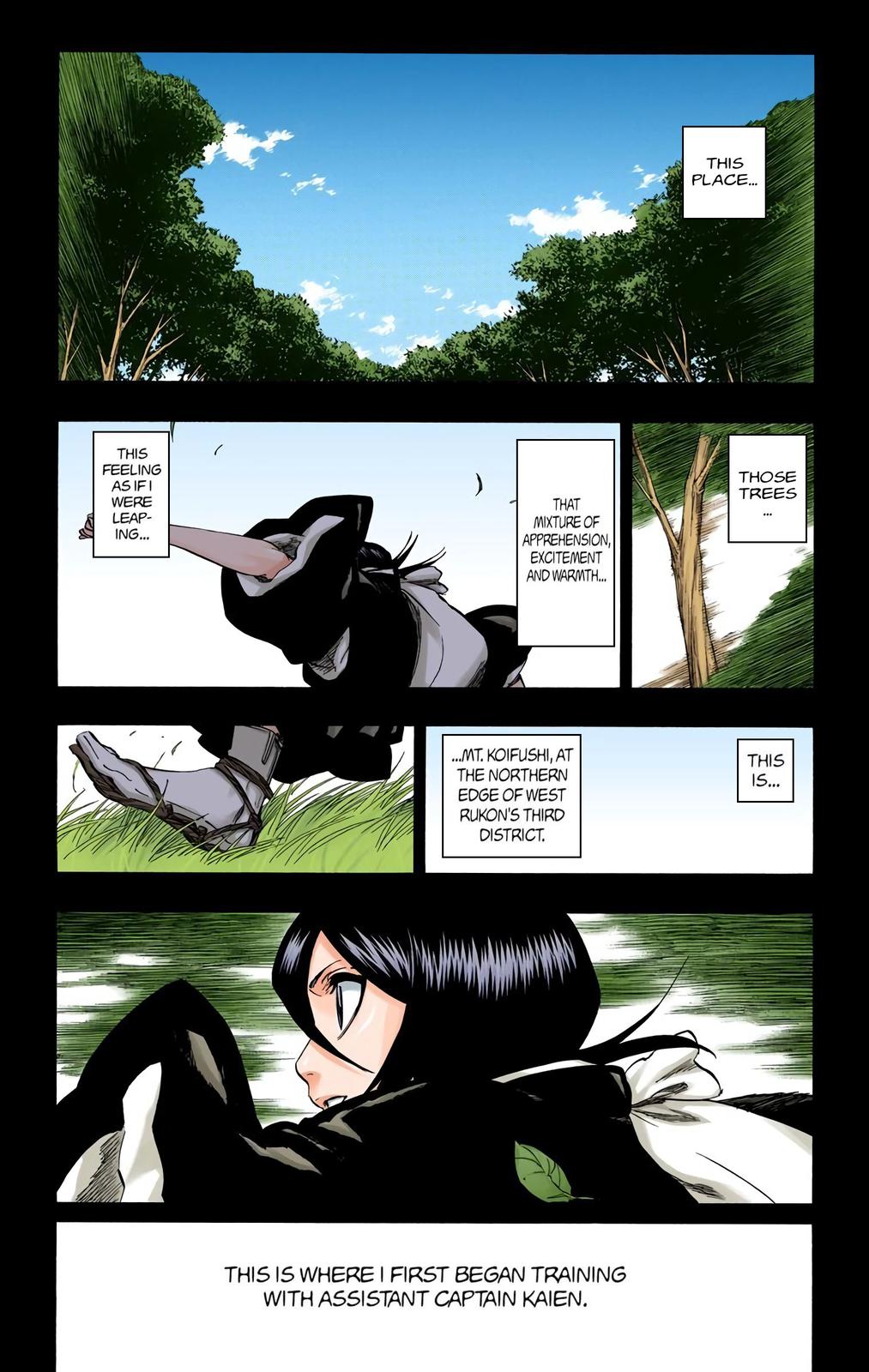 Bleach (Color) Chapter 268 - Page 4