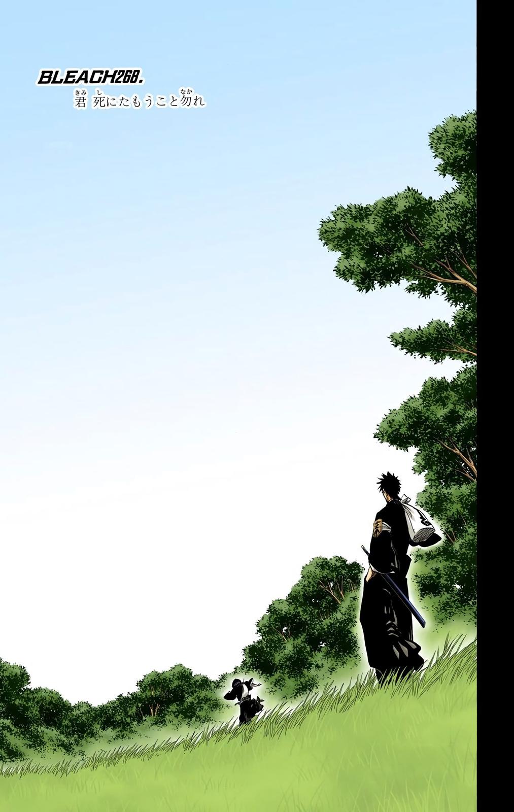 Bleach (Color) Chapter 268 - Page 5