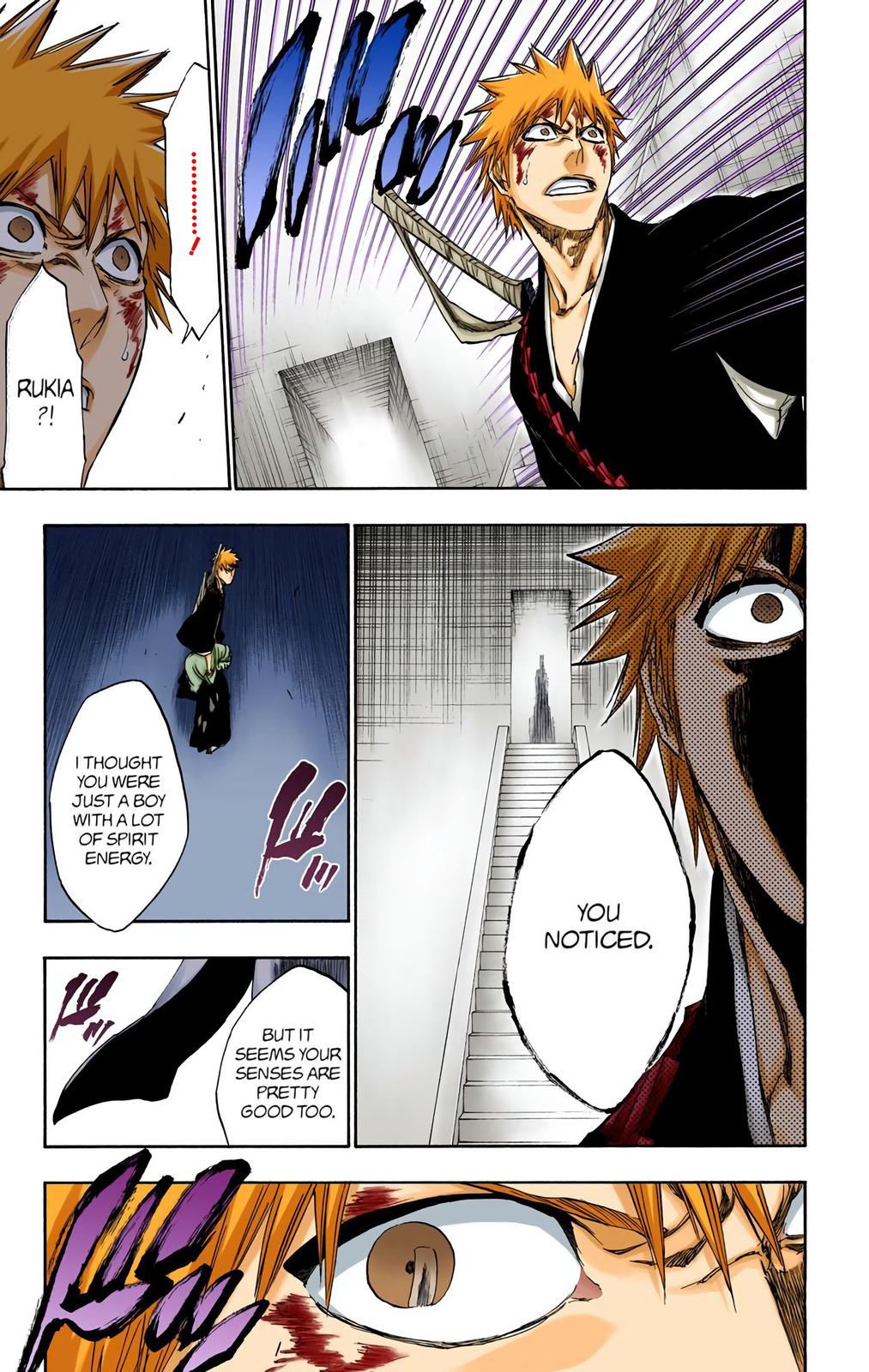 Bleach (Color) Chapter 269 - Page 17