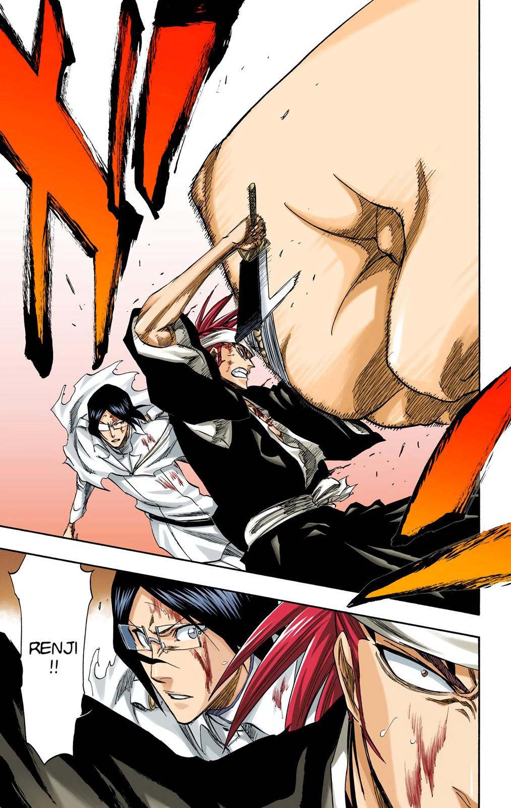 Bleach (Color) Chapter 274 - Page 17