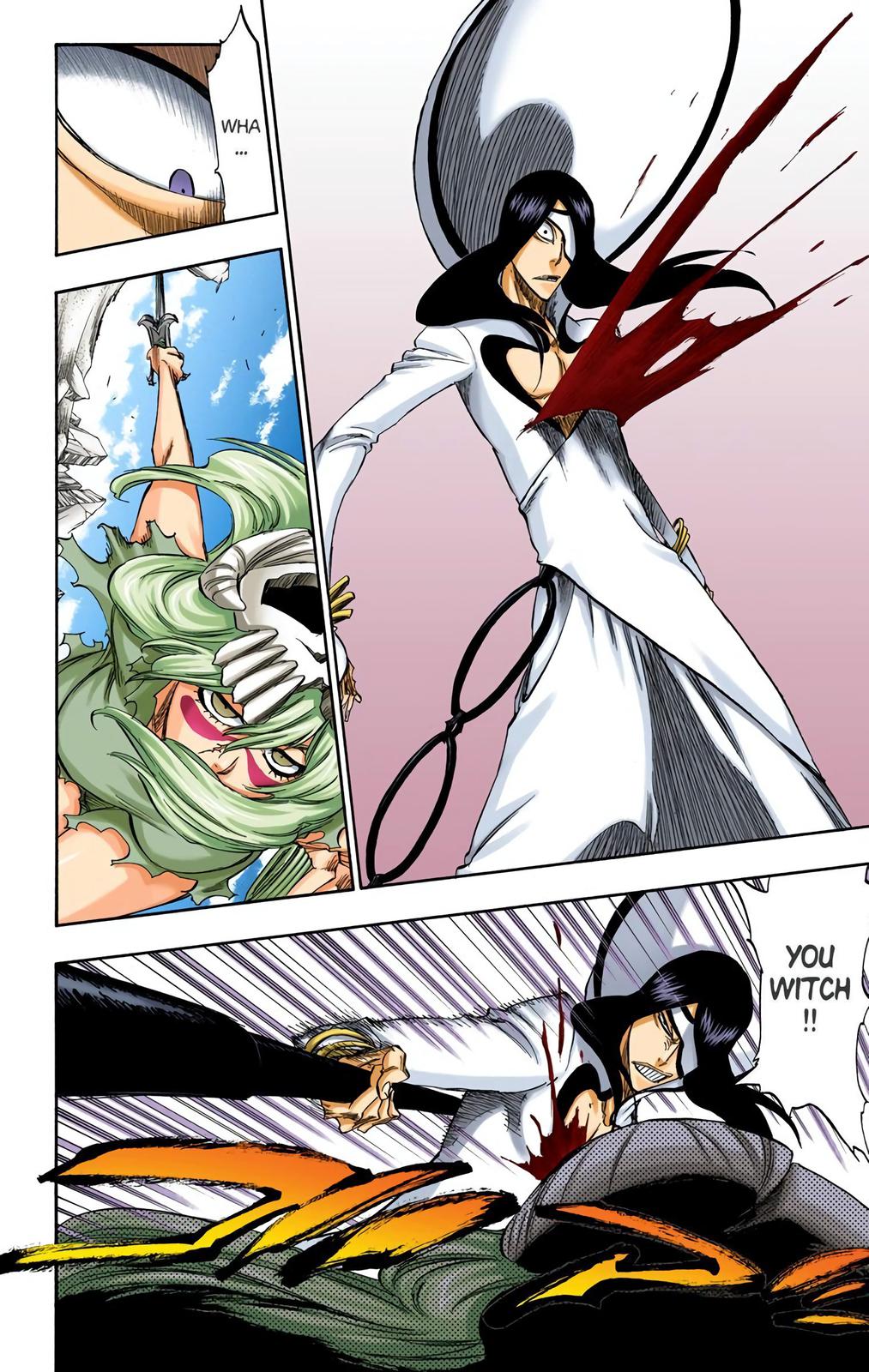 Bleach (Color) Chapter 291 - Page 13
