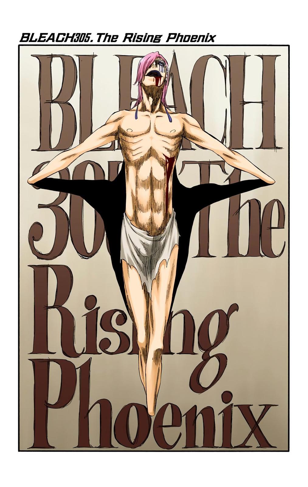 Bleach (Color) Chapter 305 - Page 4