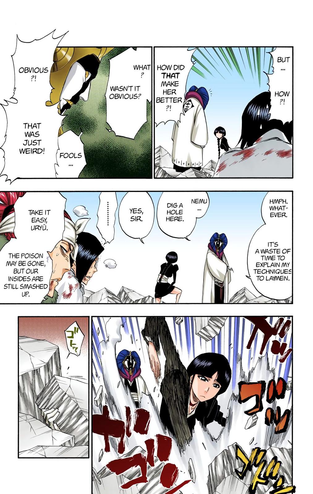 Bleach (Color) Chapter 306 - Page 17