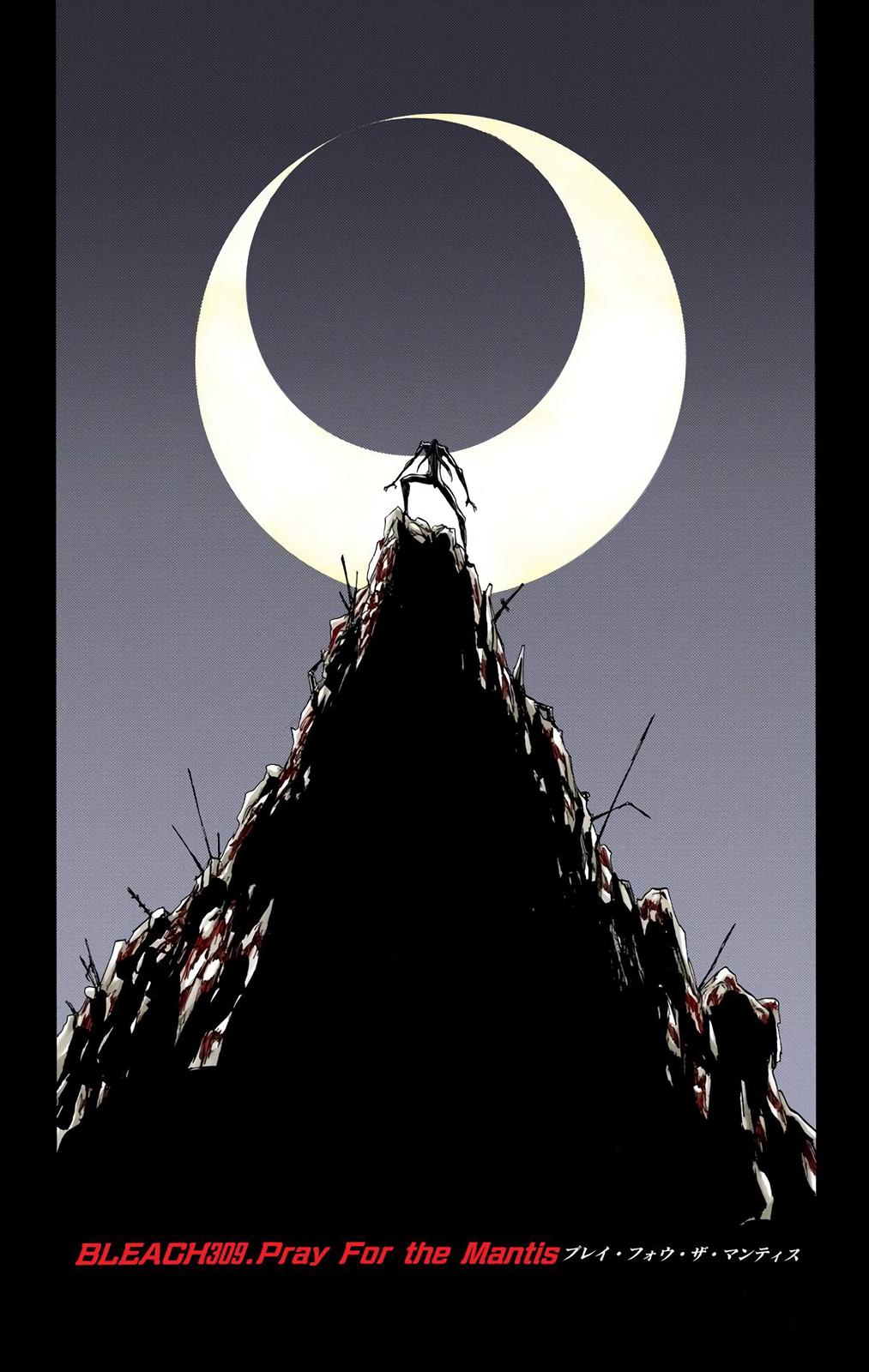 Bleach (Color) Chapter 309 - Page 8