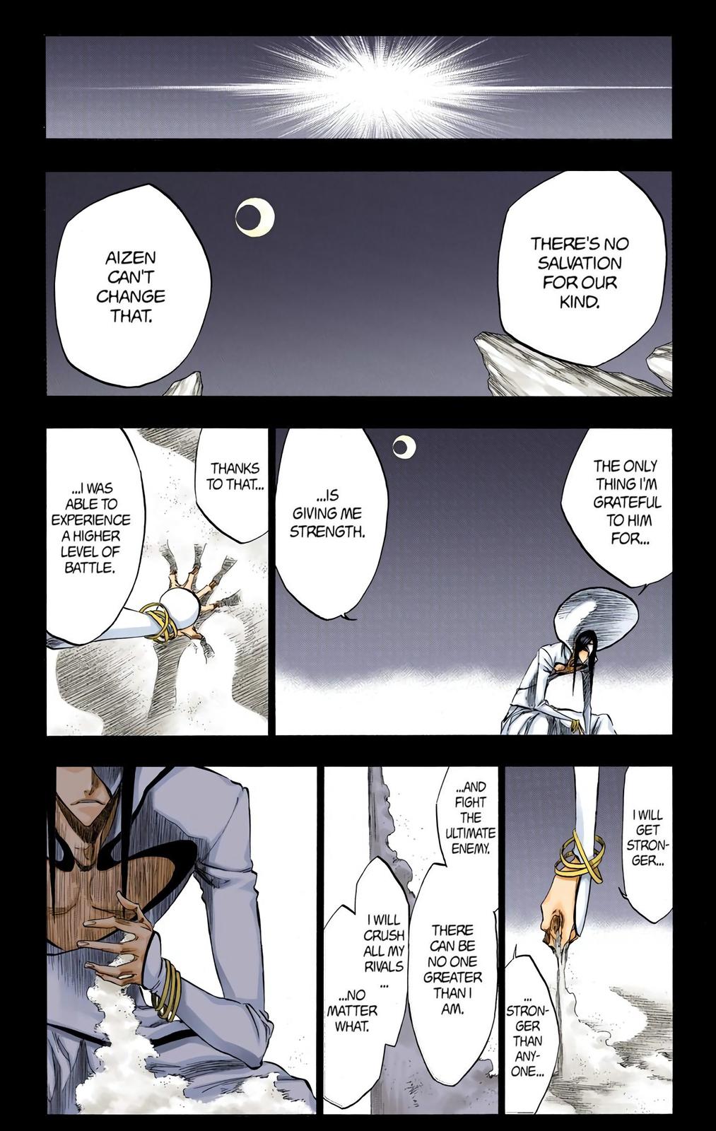 Bleach (Color) Chapter 313 - Page 5