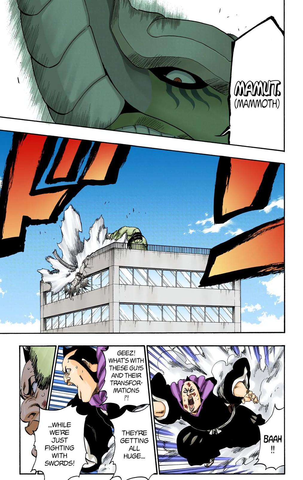 Bleach (Color) Chapter 331 - Page 13