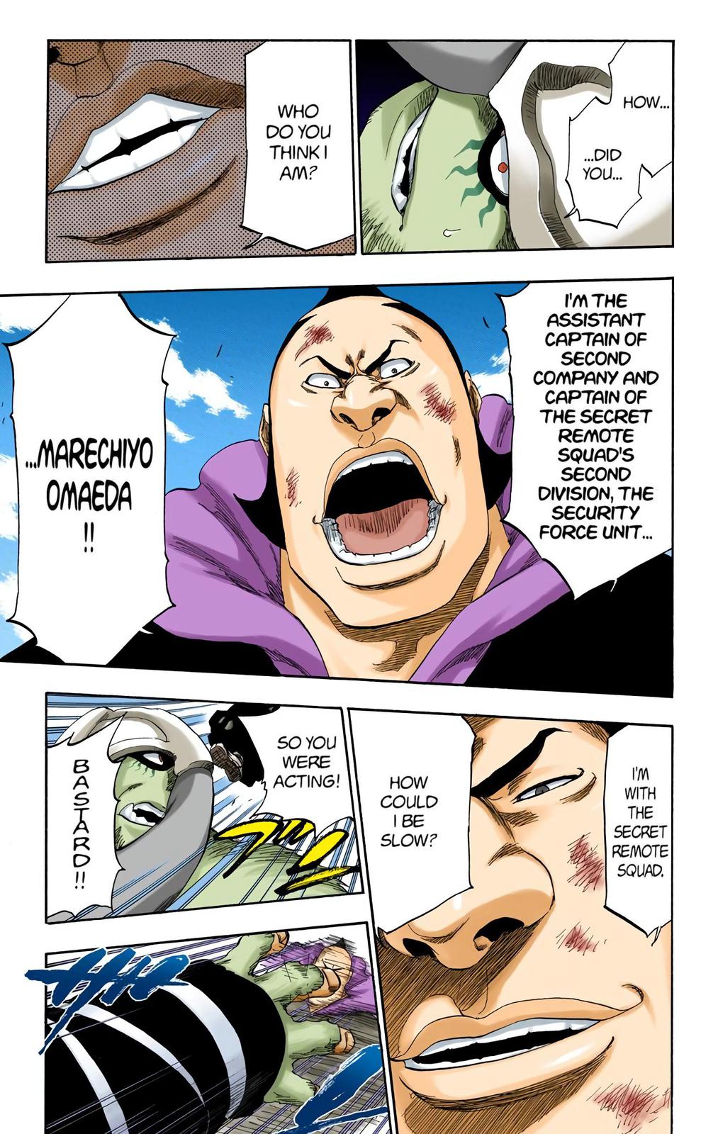 Bleach (Color) Chapter 331 - Page 17