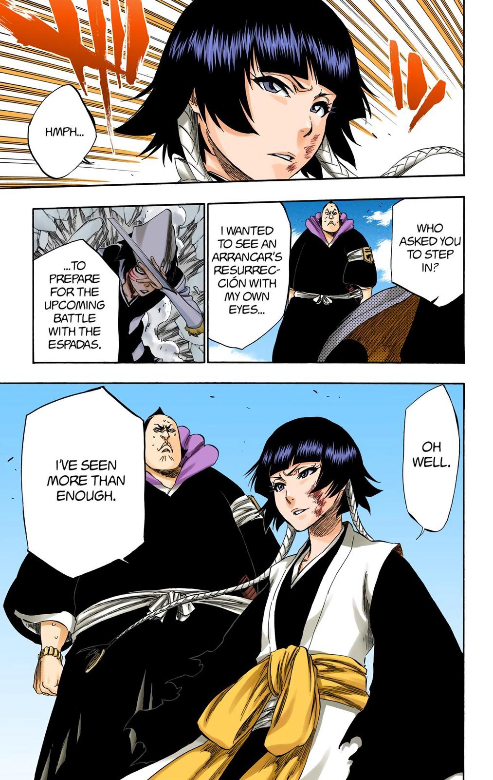 Bleach (Color) Chapter 332 - Page 25