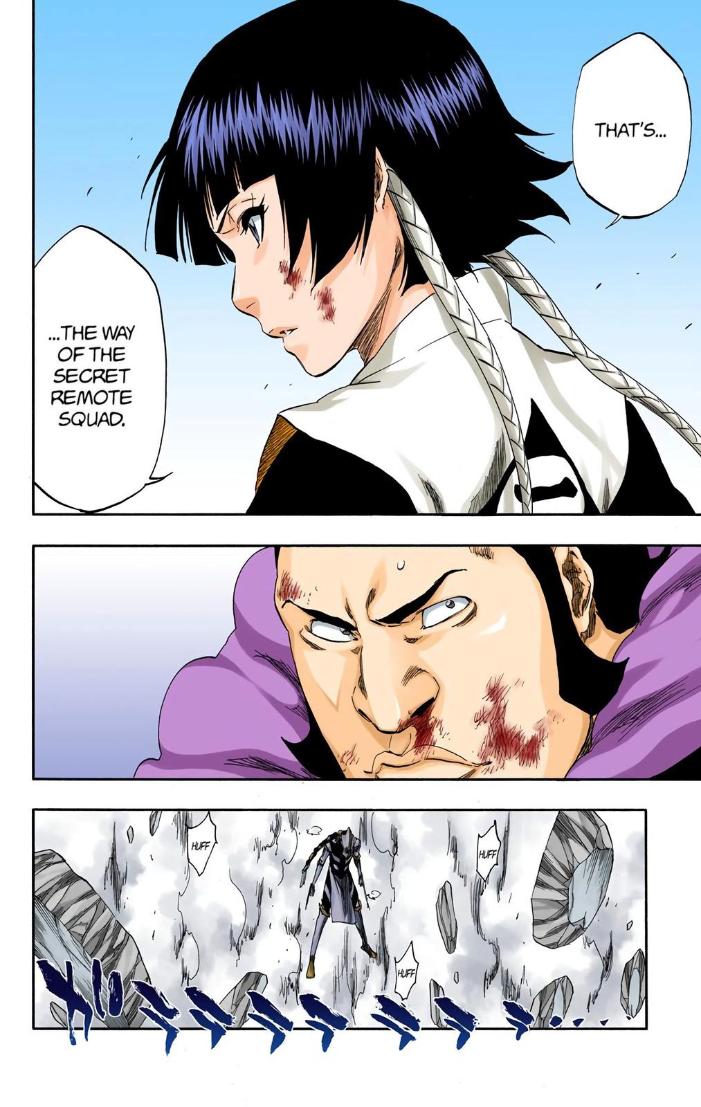 Bleach (Color) Chapter 333 - Page 4