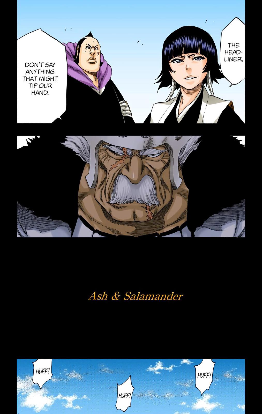 Bleach (Color) Chapter 333 - Page 13