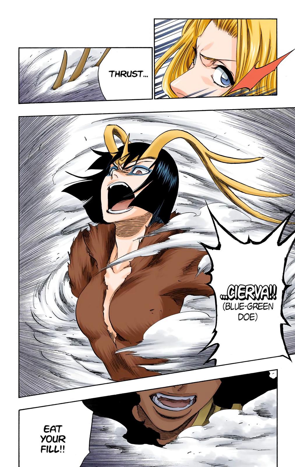 Bleach (Color) Chapter 335 - Page 17