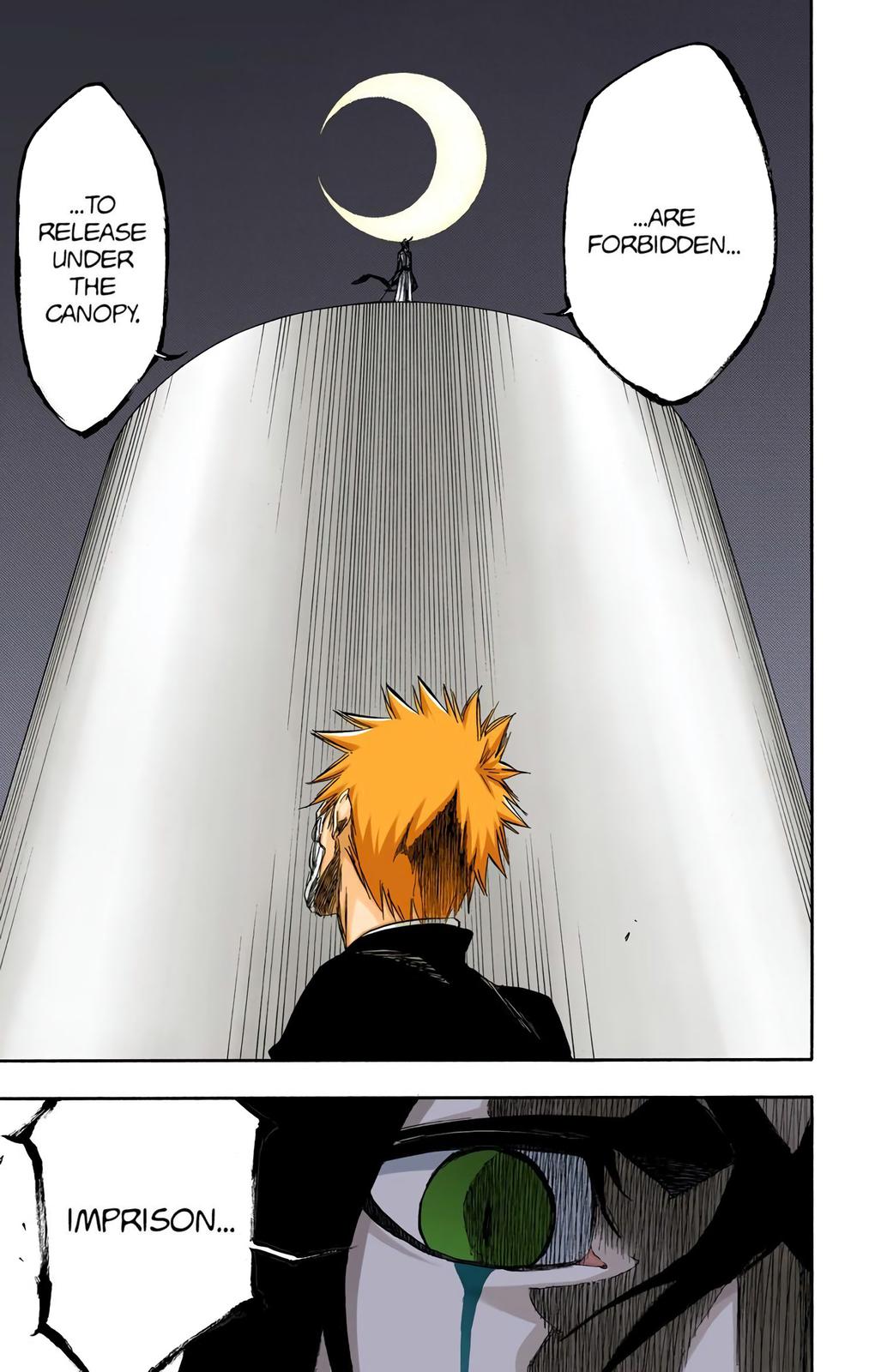 Bleach (Color) Chapter 344 - Page 18