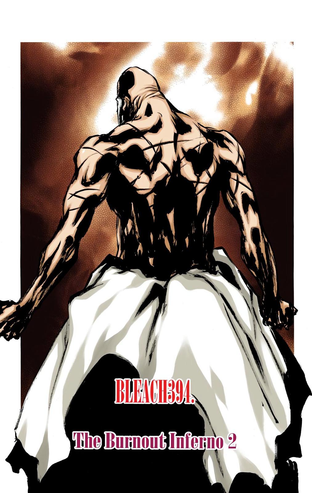Bleach (Color) Chapter 394 - Page 4