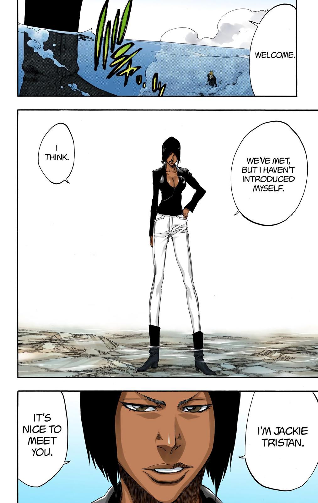 Bleach (Color) Chapter 441 - Page 18