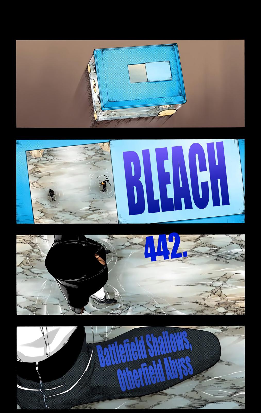 Bleach (Color) Chapter 442 - Page 9
