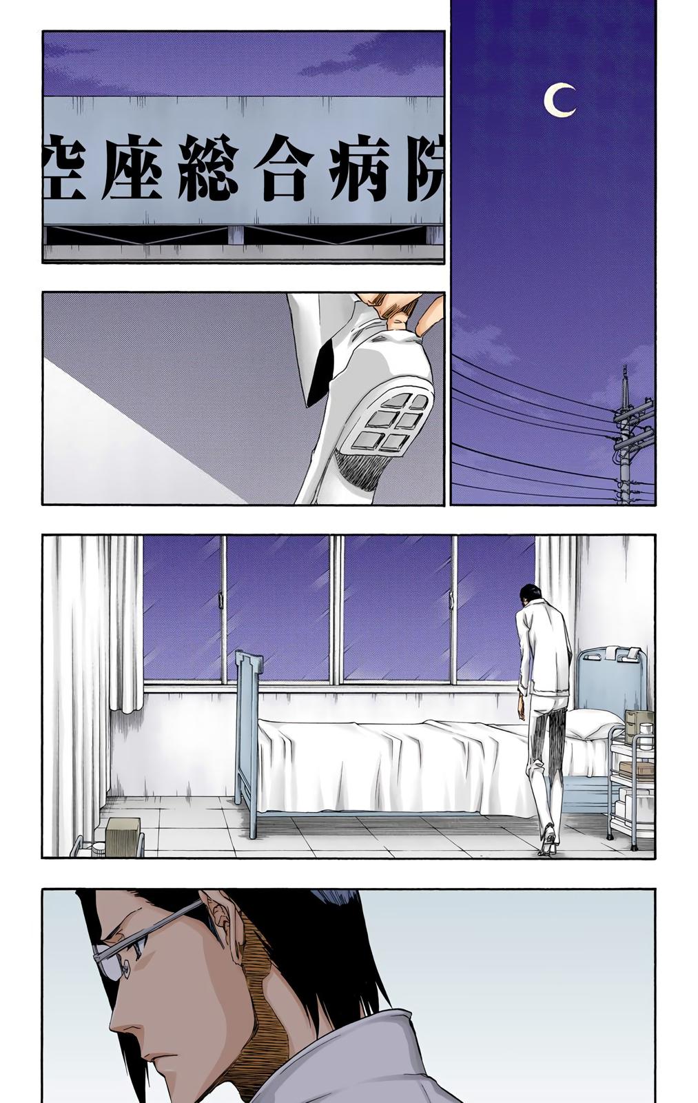Bleach (Color) Chapter 454 - Page 17