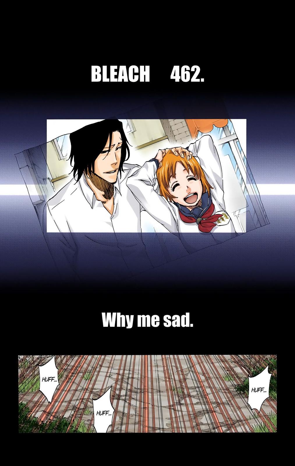 Bleach (Color) Chapter 462 - Page 5