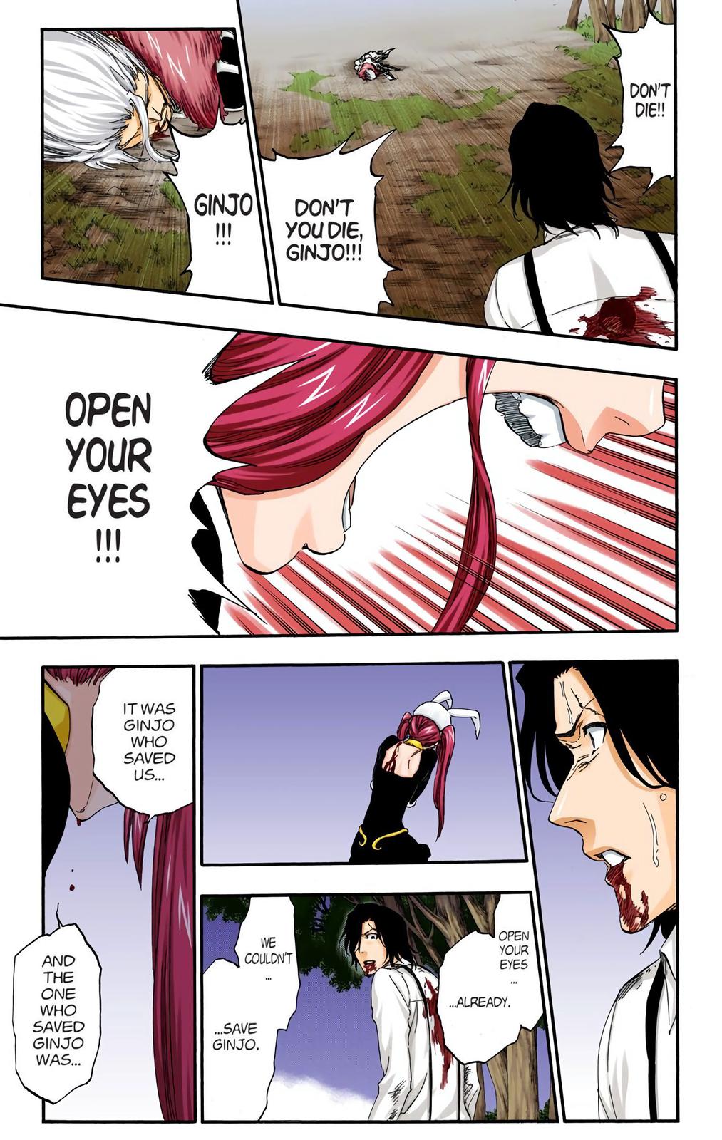 Bleach (Color) Chapter 477 - Page 17