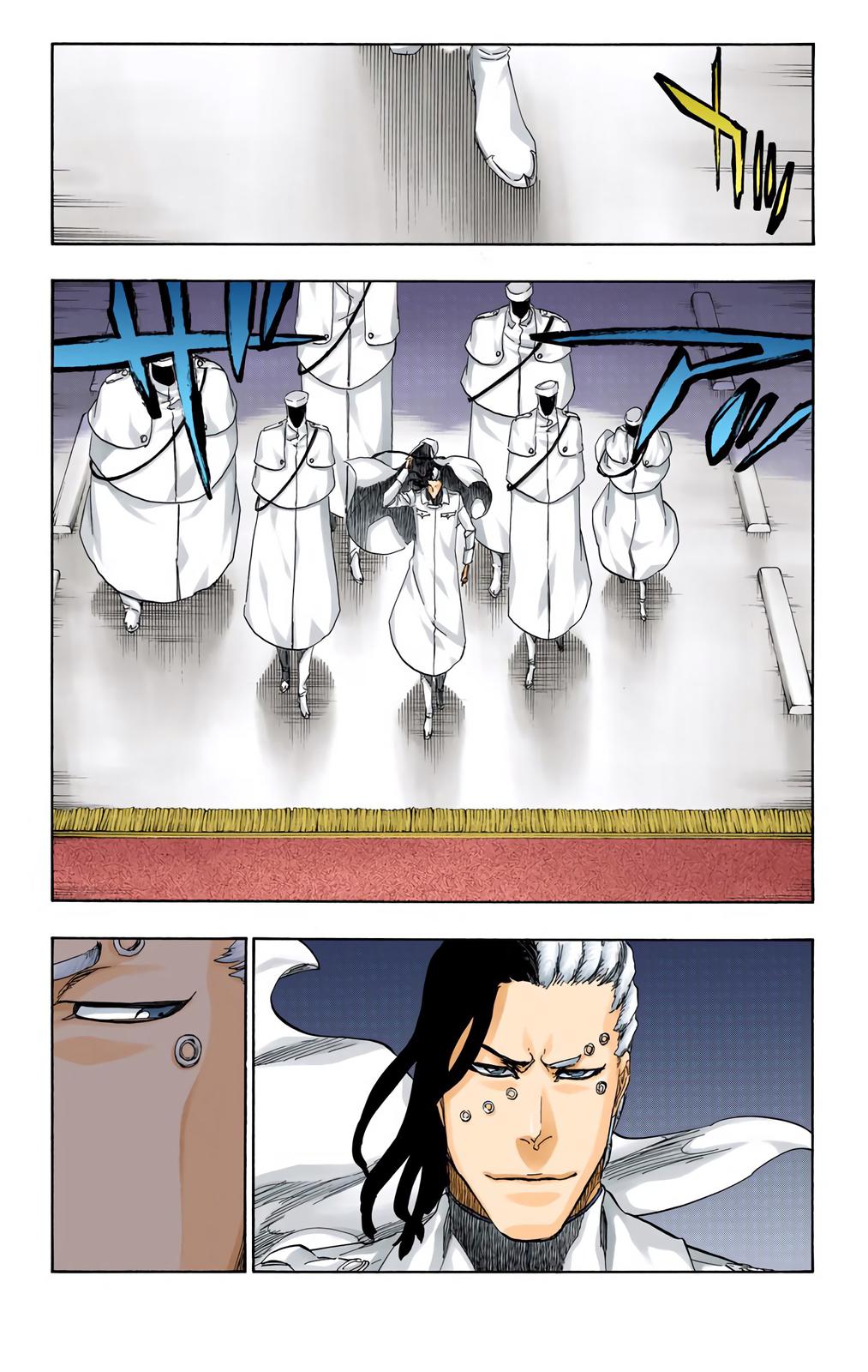 Bleach (Color) Chapter 484 - Page 14