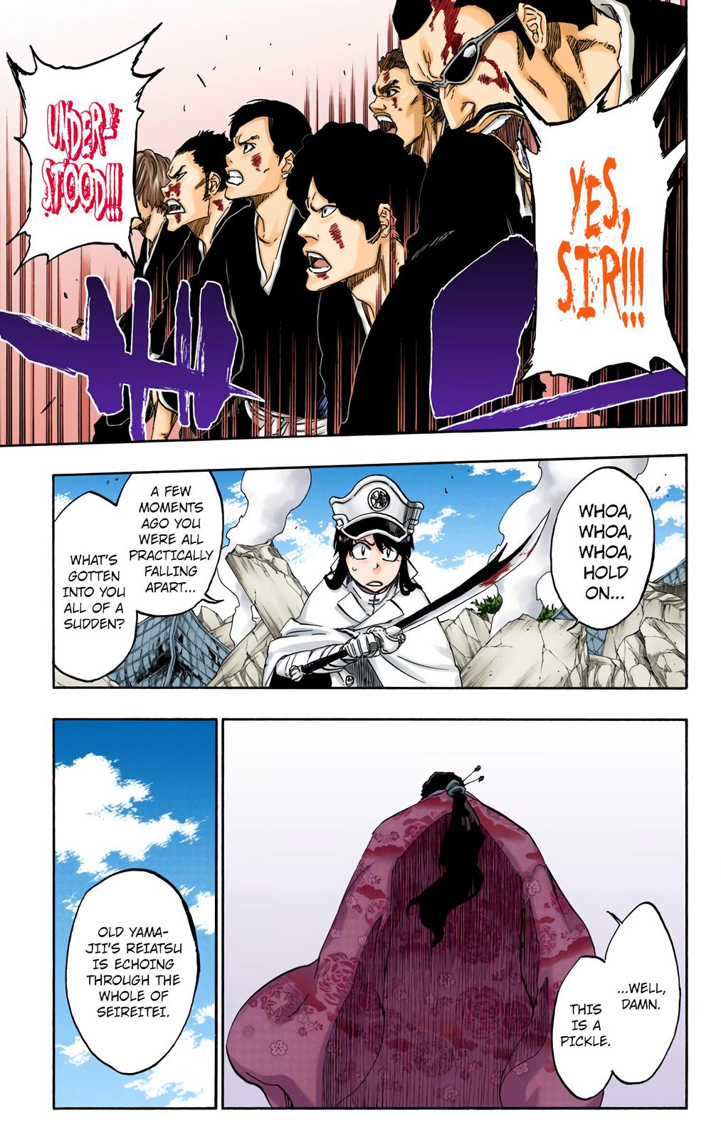 Bleach (Color) Chapter 505 - Page 13