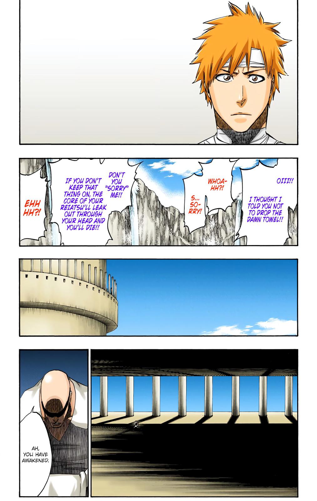 Bleach (Color) Chapter 519 - Page 17
