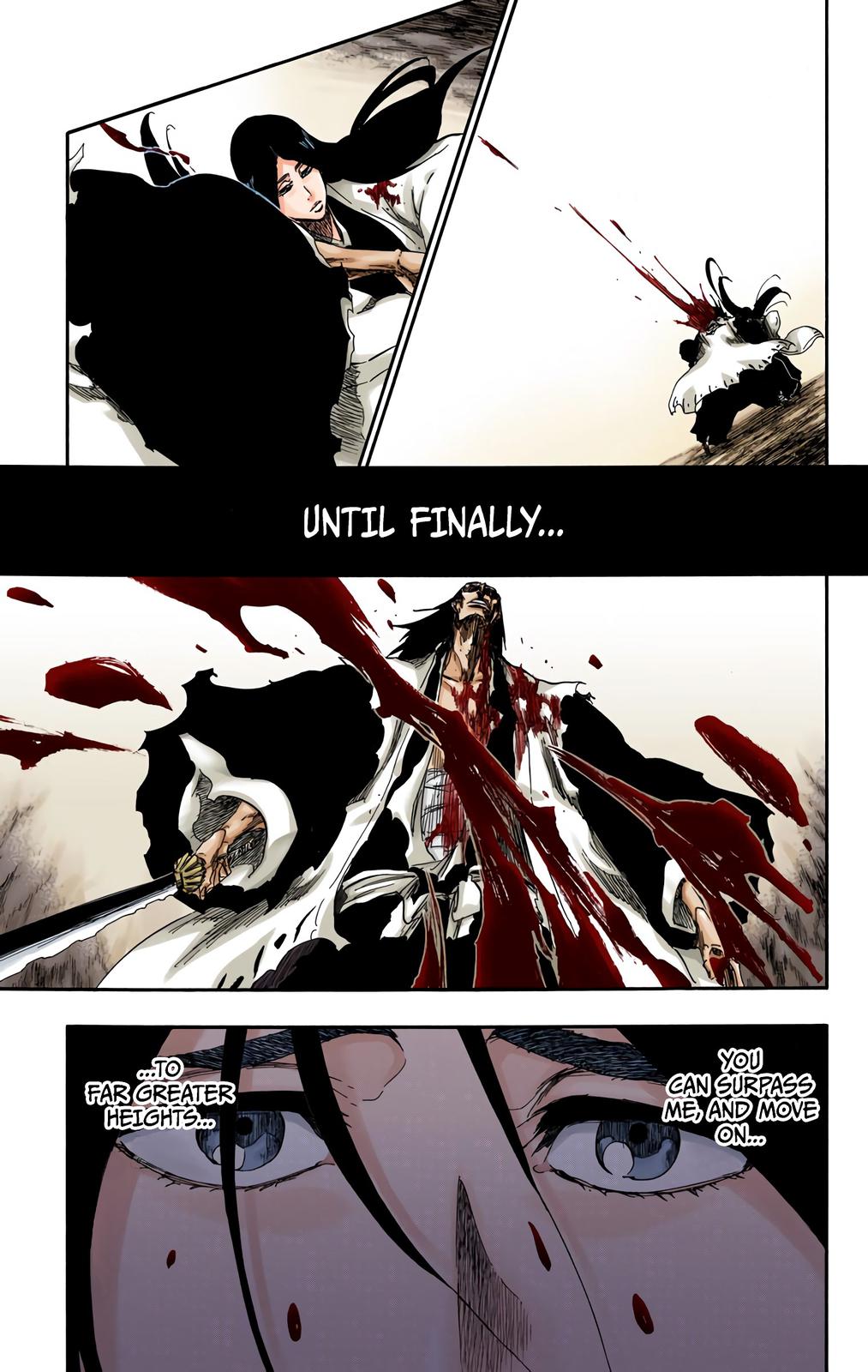 Bleach (Color) Chapter 525 - Page 17