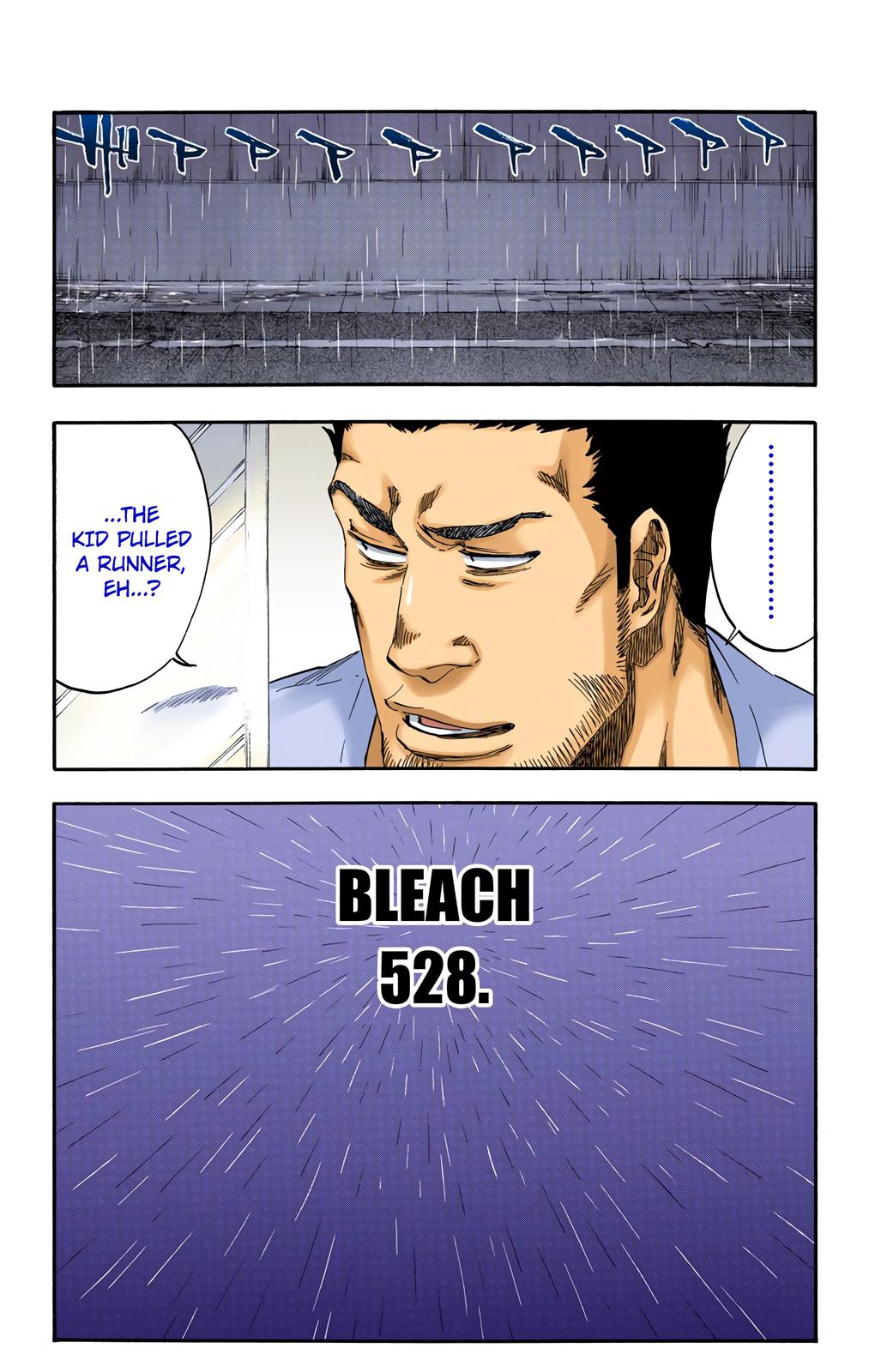 Bleach (Color) Chapter 528 - Page 5