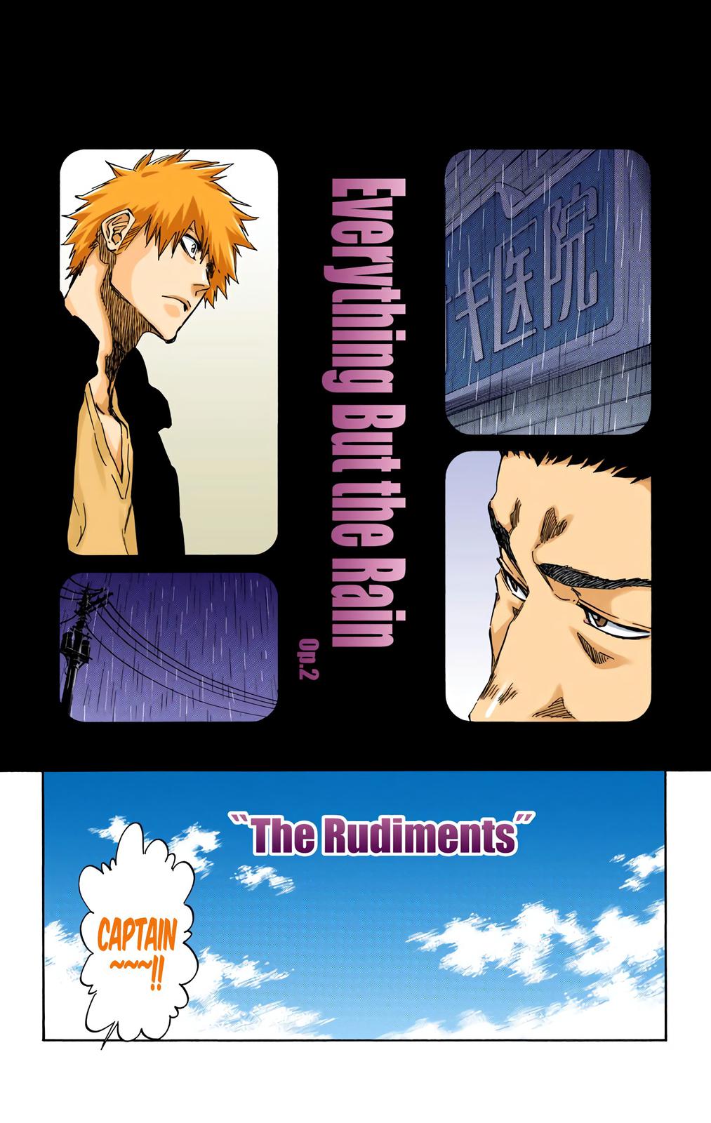Bleach (Color) Chapter 529 - Page 8