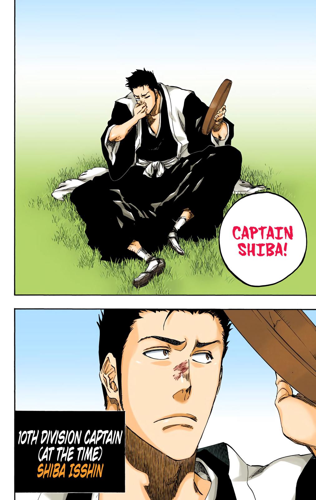 Bleach (Color) Chapter 529 - Page 11
