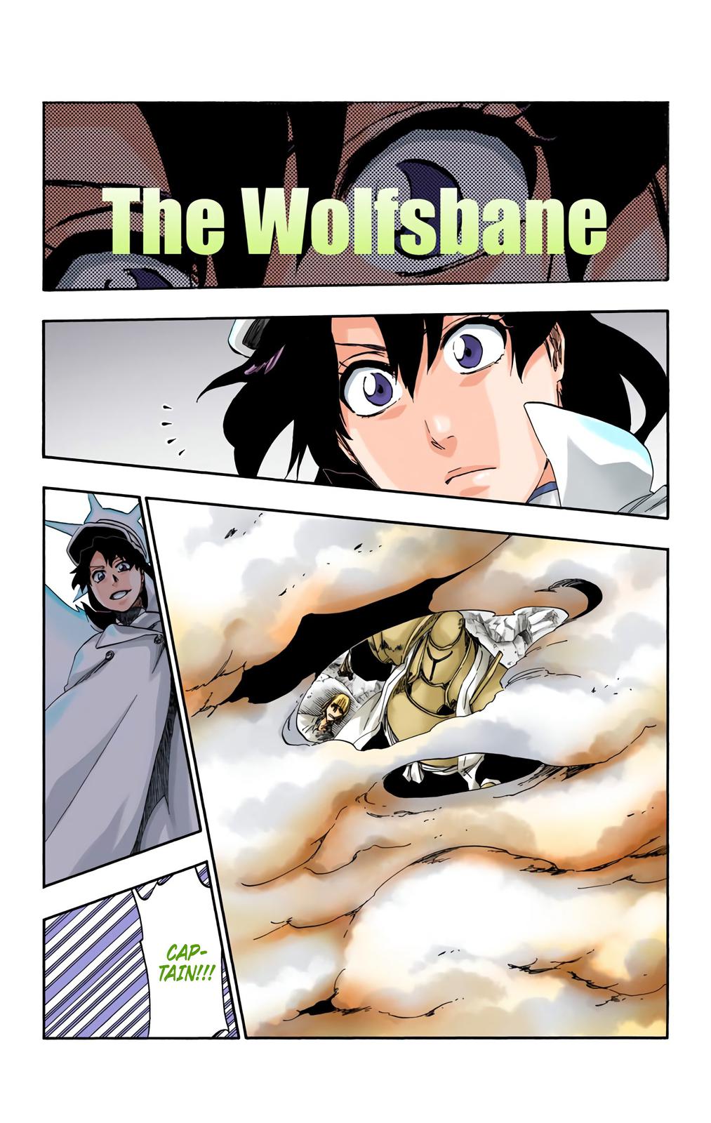 Bleach (Color) Chapter 556 - Page 5