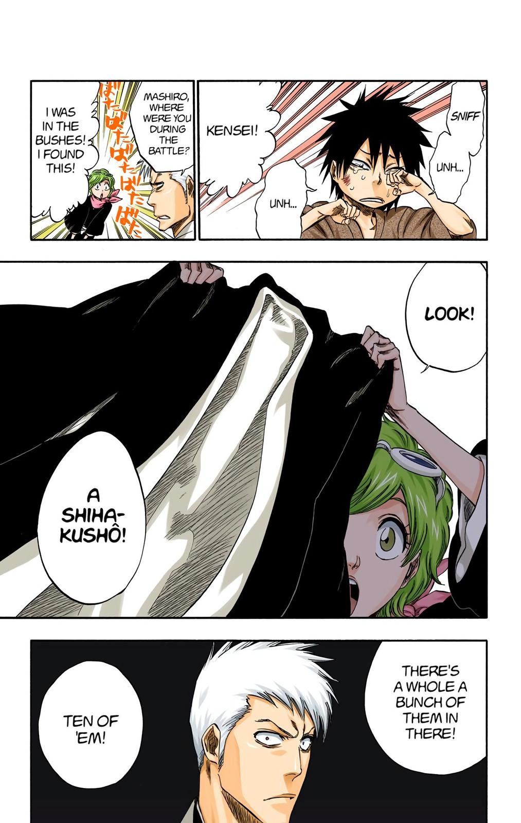 Bleach (Color) Chapter 315.5 - Page 19