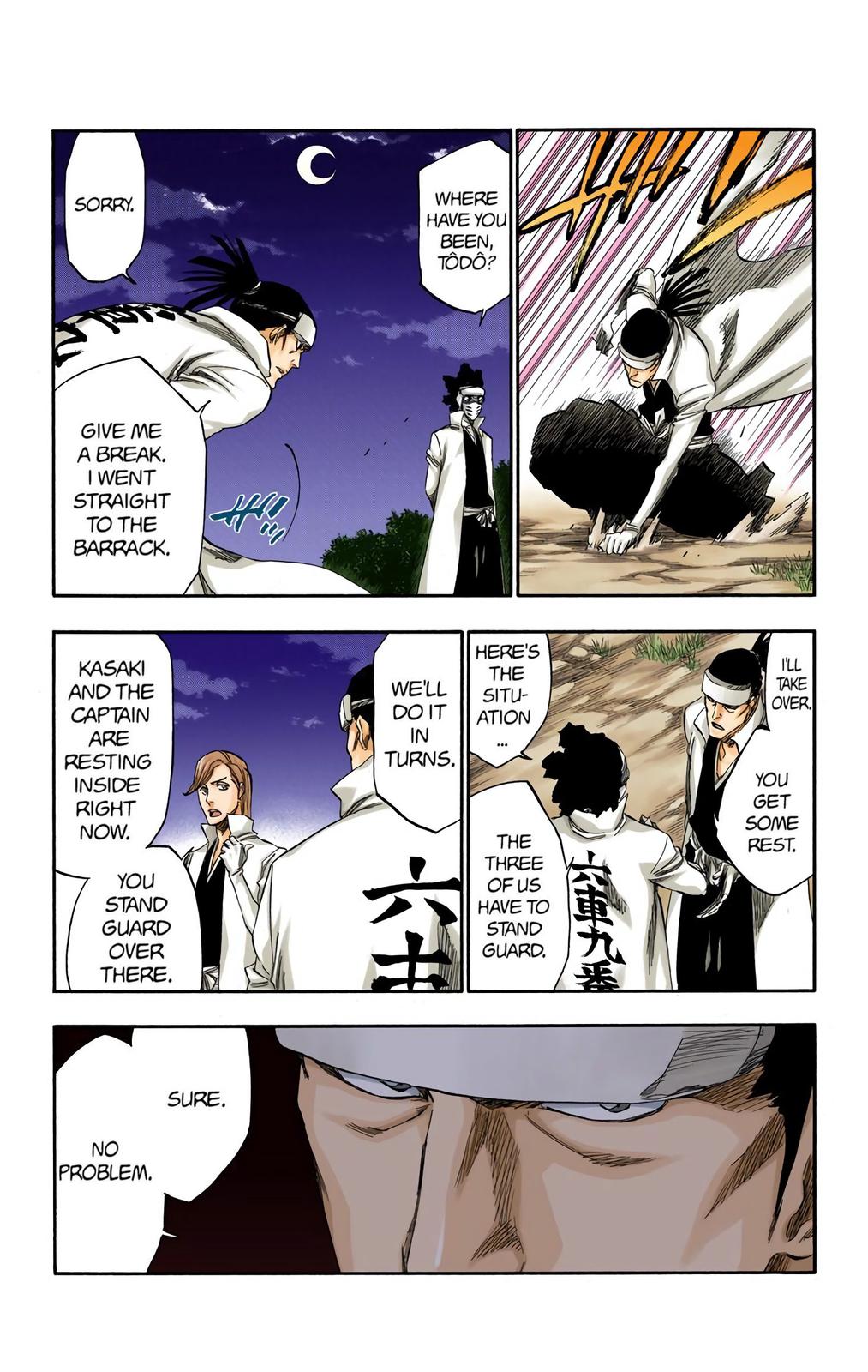 Bleach (Color) Chapter 315.6 - Page 14