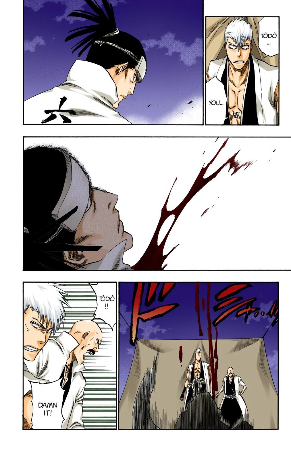 Bleach (Color) Chapter 315.6 - Page 17