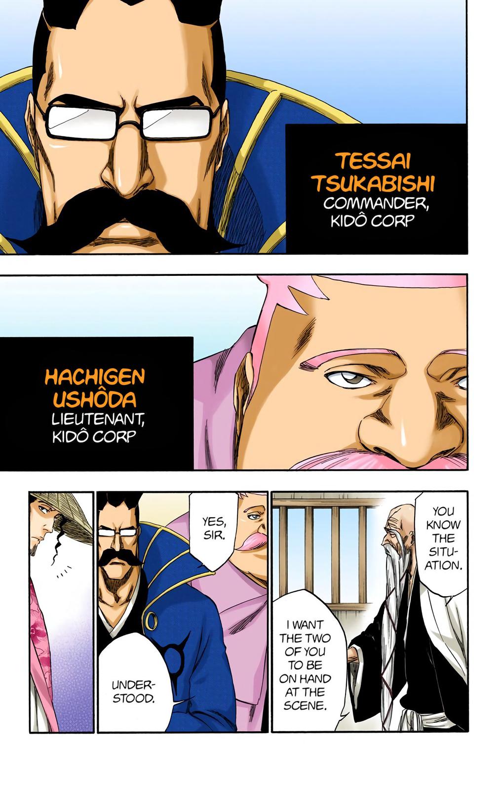 Bleach (Color) Chapter 315.7 - Page 9