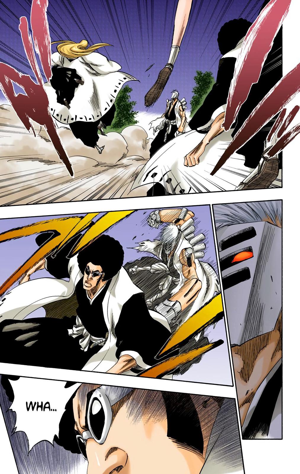 Bleach (Color) Chapter 315.8 - Page 5
