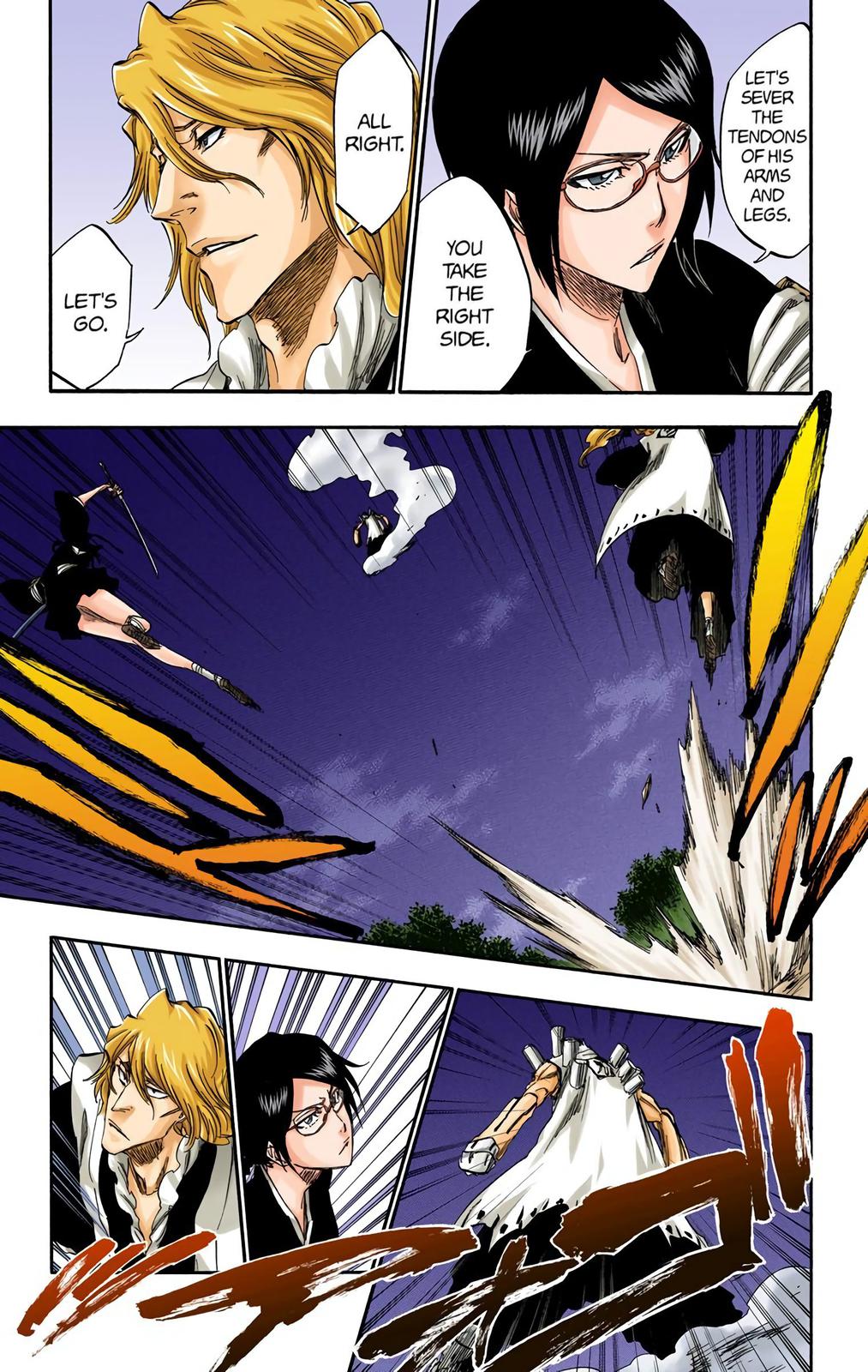 Bleach (Color) Chapter 315.8 - Page 9