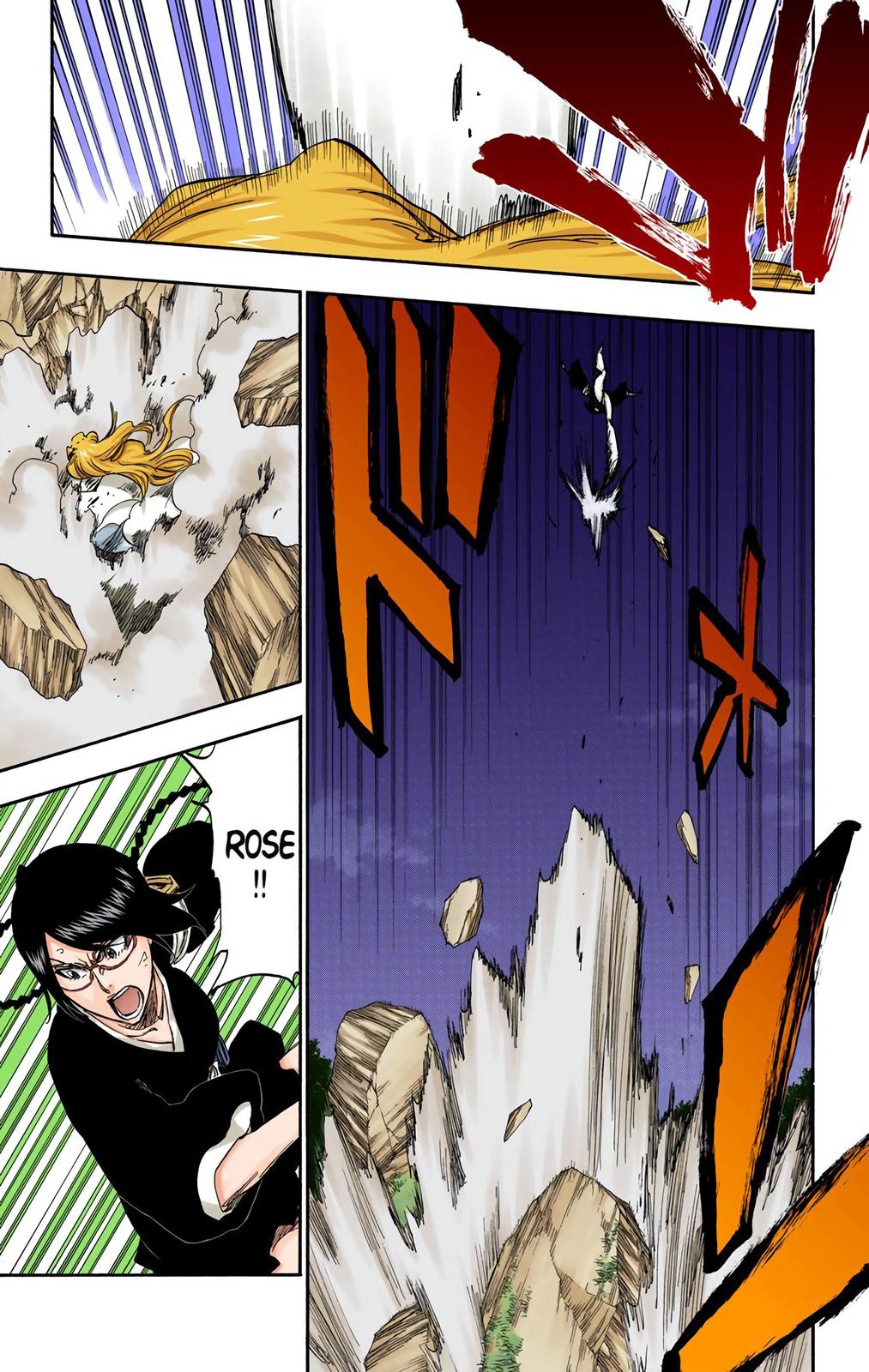 Bleach (Color) Chapter 315.8 - Page 11