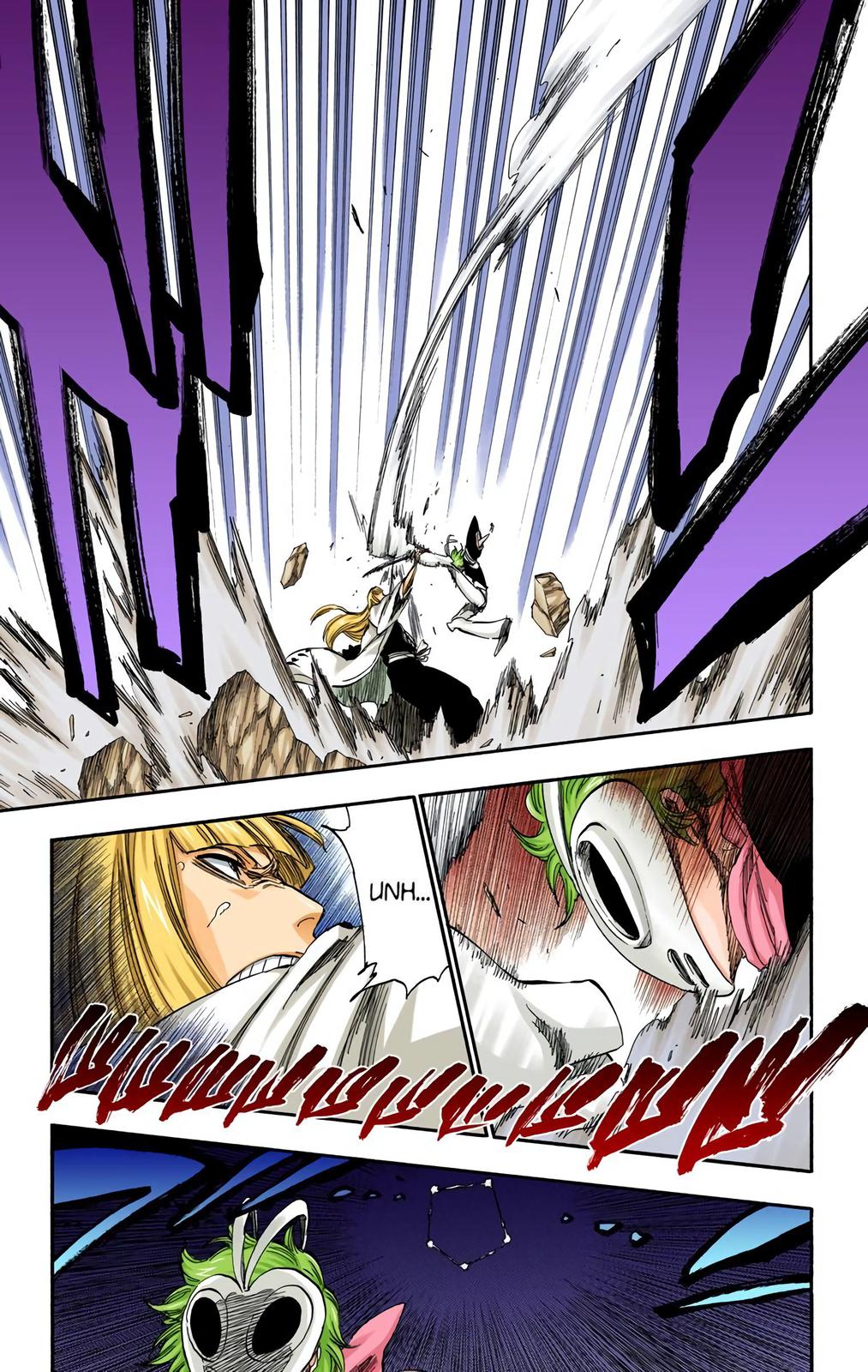 Bleach (Color) Chapter 315.8 - Page 13