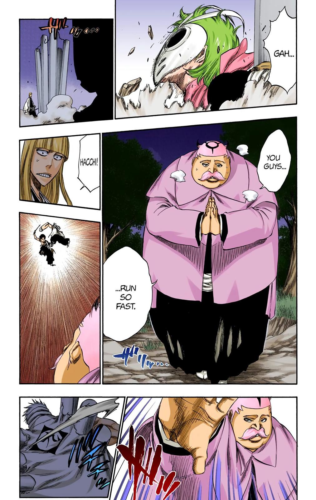 Bleach (Color) Chapter 315.8 - Page 15